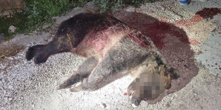 Lunedì prossimo 19 gennaio alle 9