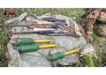 Le armi sono state scoperte dai carabinieri in un'area isolata di Caraffa del Bianco