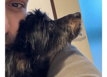 La denuncia di un animalista. Temeva facesse del male al figlio