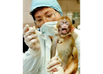 L'associazione critica le novità del decreto Milleproroghe per i test sugli animali