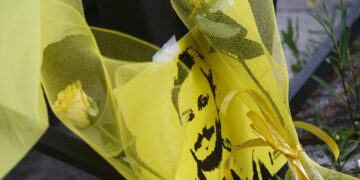 'Ripristinare l'ordine delle cose per far sì che questi incontri non avvengano'