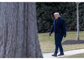 'Nuovo approccio per soluzione conflitto globale'. Milei pubblica la lettera