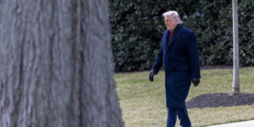 'Nuovo approccio per soluzione conflitto globale'. Milei pubblica la lettera