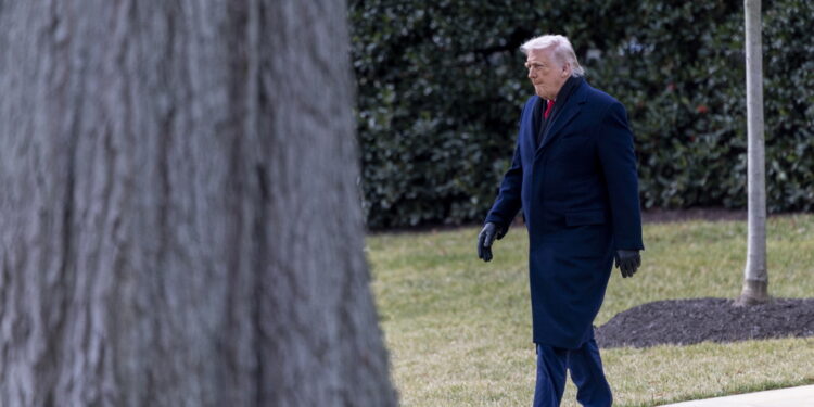 'Nuovo approccio per soluzione conflitto globale'. Milei pubblica la lettera