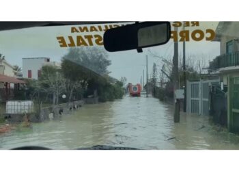 Intervento della Forestale e dei Vigili del fuoco al villaggio Primo Sole