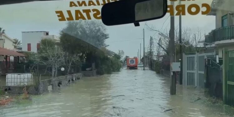 Intervento della Forestale e dei Vigili del fuoco al villaggio Primo Sole