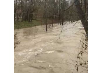 Piogge diffuse e persistenti nelle ultime 36 ore