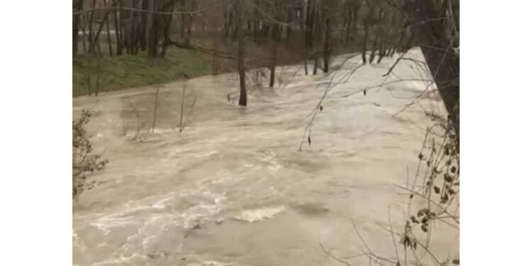 Piogge diffuse e persistenti nelle ultime 36 ore