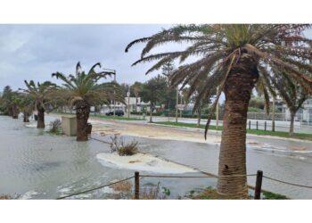 Quasi 200 millimetri di pioggia e venti che sfiorano i 100 km/h