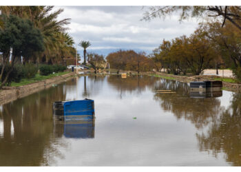 Delibera di Giunta in vista della richiesta di stato di calamità naturale