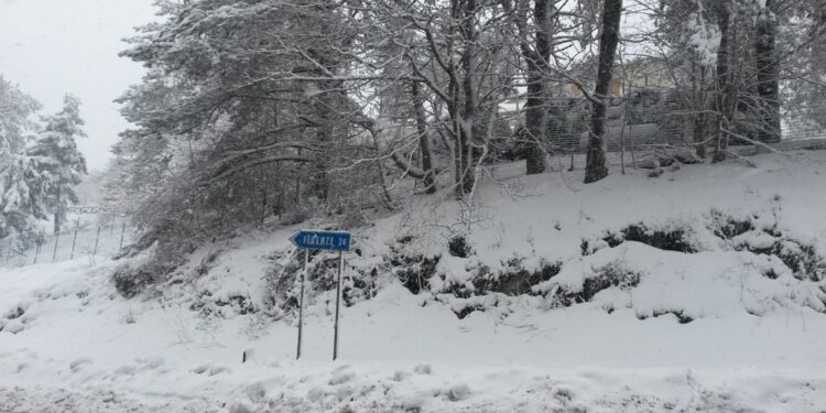 Nei fondovalle di Alto Mugello