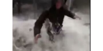 De Luca e Lo Giudice