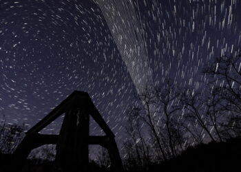 Lo riporta Ynet: 'E' la prima volta'