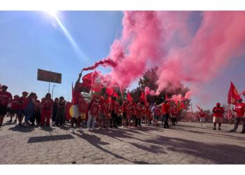 La manifestazione il 20 giugno a Bologna delle tute blu