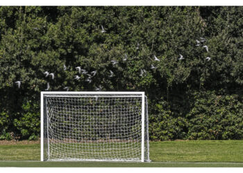 Eseguita l'autopsia sul cadavere del ragazzo deceduto a Pordenone