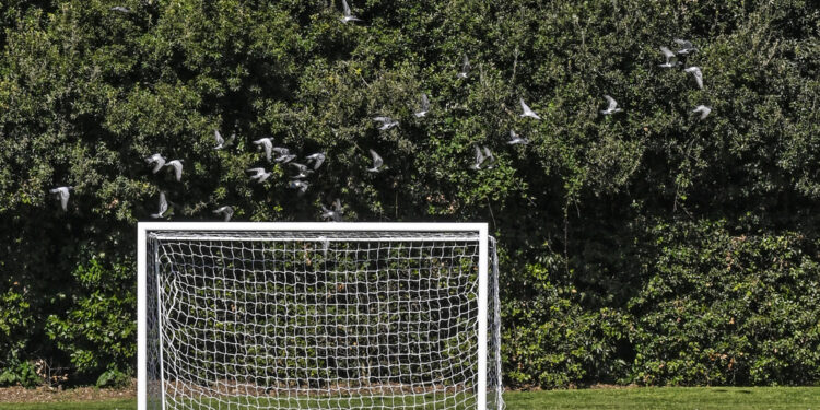 Eseguita l'autopsia sul cadavere del ragazzo deceduto a Pordenone