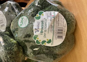 Masaf con Fondazione Veronesi per 'I broccoli per la ricerca'