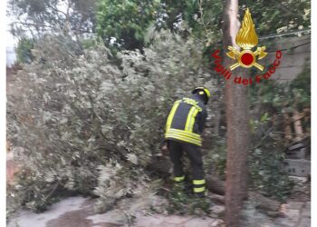 Gennargentu e Limbara imbiancati