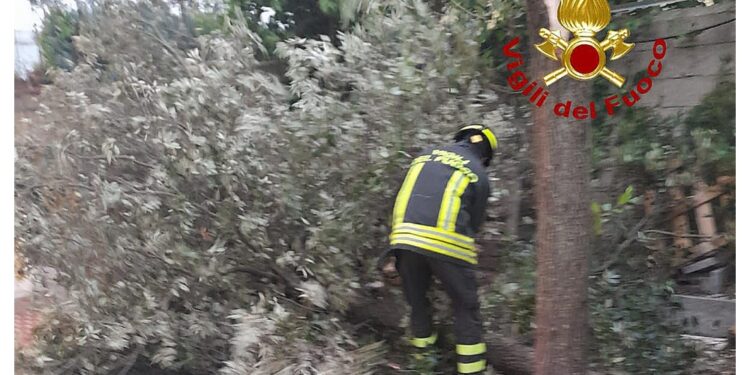 Gennargentu e Limbara imbiancati