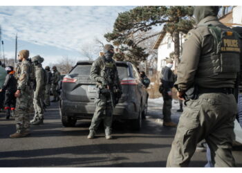 Altri manifestanti hanno cercato di bloccare le forze dell'ordine