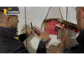 Controllo della Gdf a un Tir moldavo