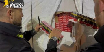 Controllo della Gdf a un Tir moldavo