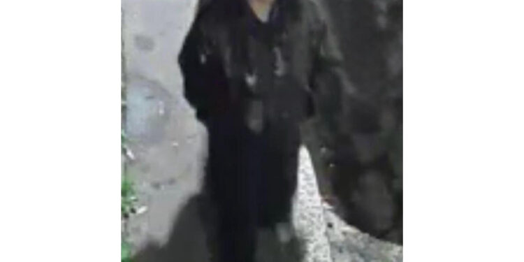 Telecamere lo riprendono in ginocchio davanti alla ragazza