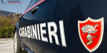 Individuato grazie a telecamere