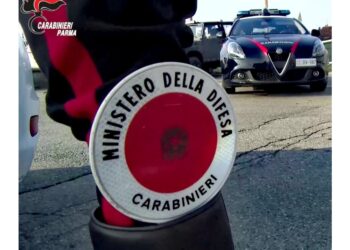 È accaduto nel Parmense a luglio scorso