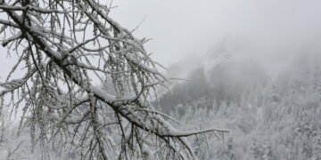 Tendenza alla diminuzione