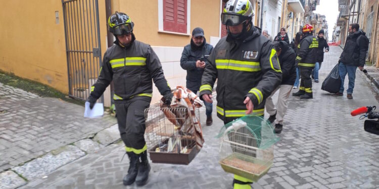 Vigili del fuoco intervengono in palazzina sgomberata in zona rossa