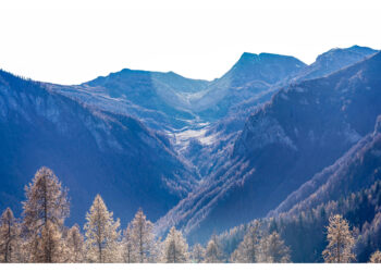 Per accompagnare lo sviluppo delle aree montane