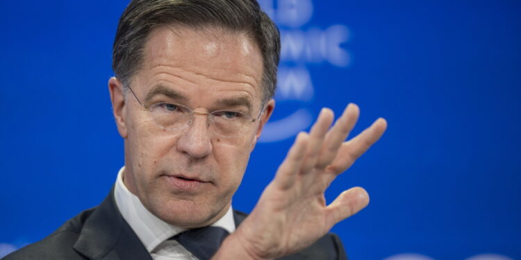 'Lo faremo rapidamente