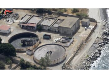 Provvedimento della Procura della Repubblica eseguito dal Noe. Due gli indagati