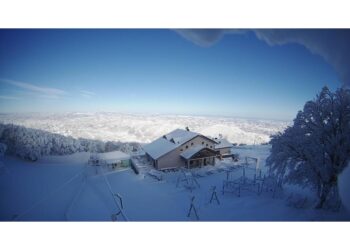 Segnalazione di Scenari Digitali