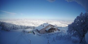 Segnalazione di Scenari Digitali