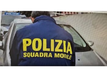 Gestivano dal rifornimento alle consegne a domicilio. Stese contro i rivali