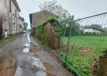 Processo con rito abbreviato