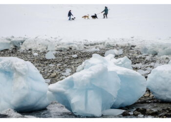 'Sulla Groenlandia posizione unitaria Ue-Nato rispettando sovranità danese'