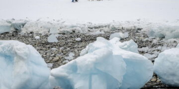 'Sulla Groenlandia posizione unitaria Ue-Nato rispettando sovranità danese'