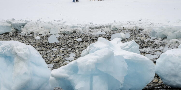 'Sulla Groenlandia posizione unitaria Ue-Nato rispettando sovranità danese'