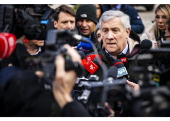 'Anche alla luce dei comportamenti di negligenza'