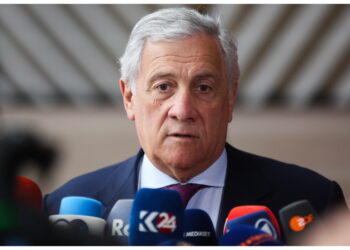 'Giovedì lo chiederò al consiglio Affari Esteri