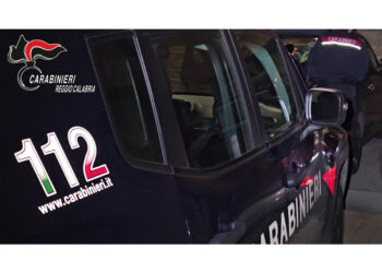 Sul posto i carabinieri