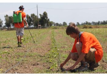 Da giugno ad ottobre è possibile partecipare in 15 regioni e 75 località