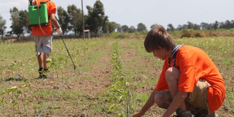 Da giugno ad ottobre è possibile partecipare in 15 regioni e 75 località