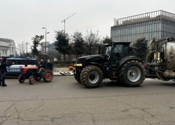 Scaricate balle di fieno davanti alla stazione Centrale