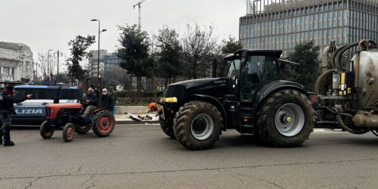 Scaricate balle di fieno davanti alla stazione Centrale