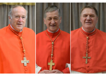 Dichiarazione congiunta di McElroy