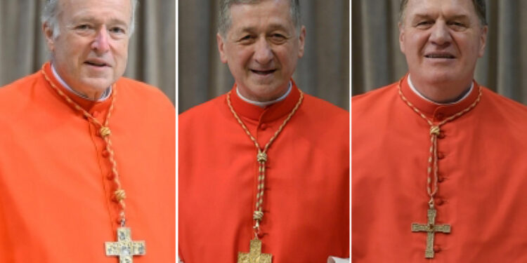 Dichiarazione congiunta di McElroy